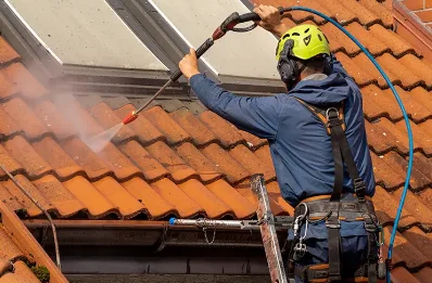 Démoussage et hydrofuge de toiture à Brézins